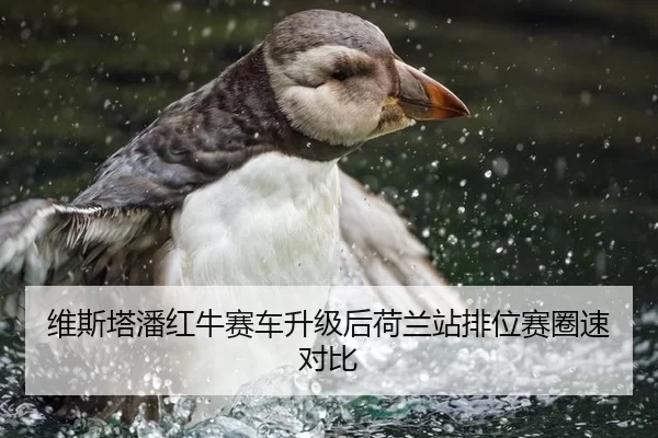 维斯塔潘红牛赛车升级后荷兰站排位赛圈速对比