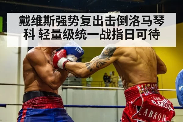 戴维斯强势复出击倒洛马琴科 轻量级统一战指日可待