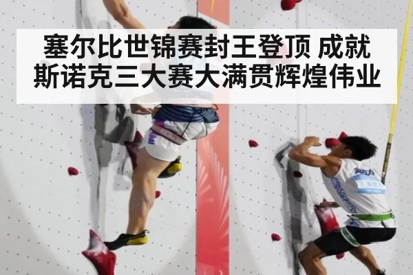 塞尔比世锦赛封王登顶 成就斯诺克三大赛大满贯辉煌伟业